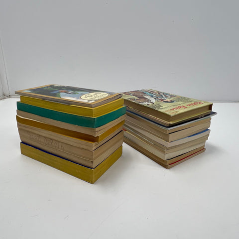 Lot Of Vintage Children's YA Books 19 Benji Glass Inferno Magic Tree House Other