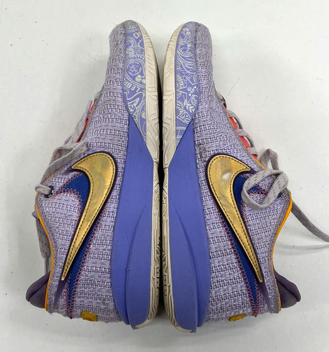 Nike LeBron 20 XX Violet Frost Basketball Shoes Men's Size 8