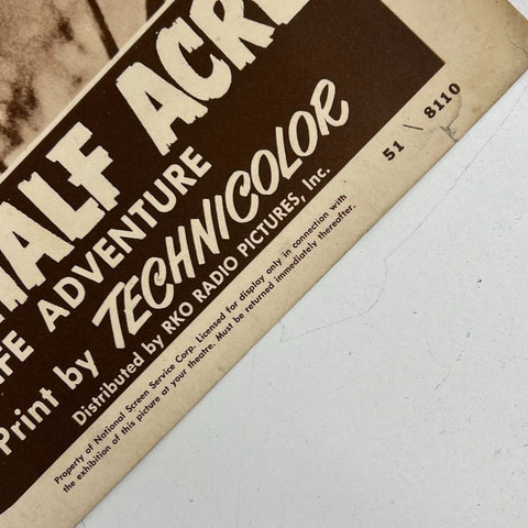 Vintage 1951 Disney Nature's Half Acre True Life Adventure Lobby Card RKO
