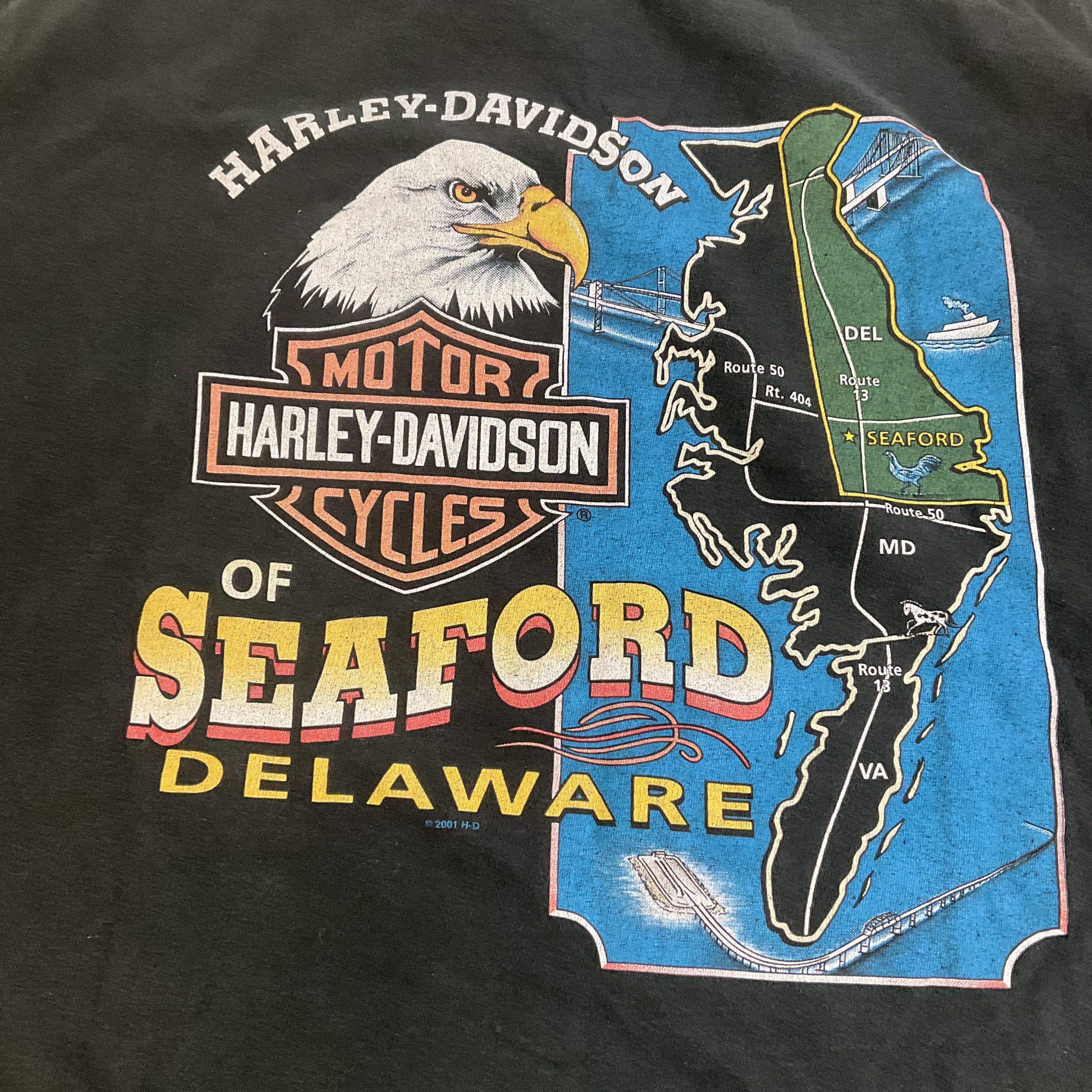 Vintage Y2K Harley Davidson Seaford DE Eagle T Shirt Biker Mens 2XL