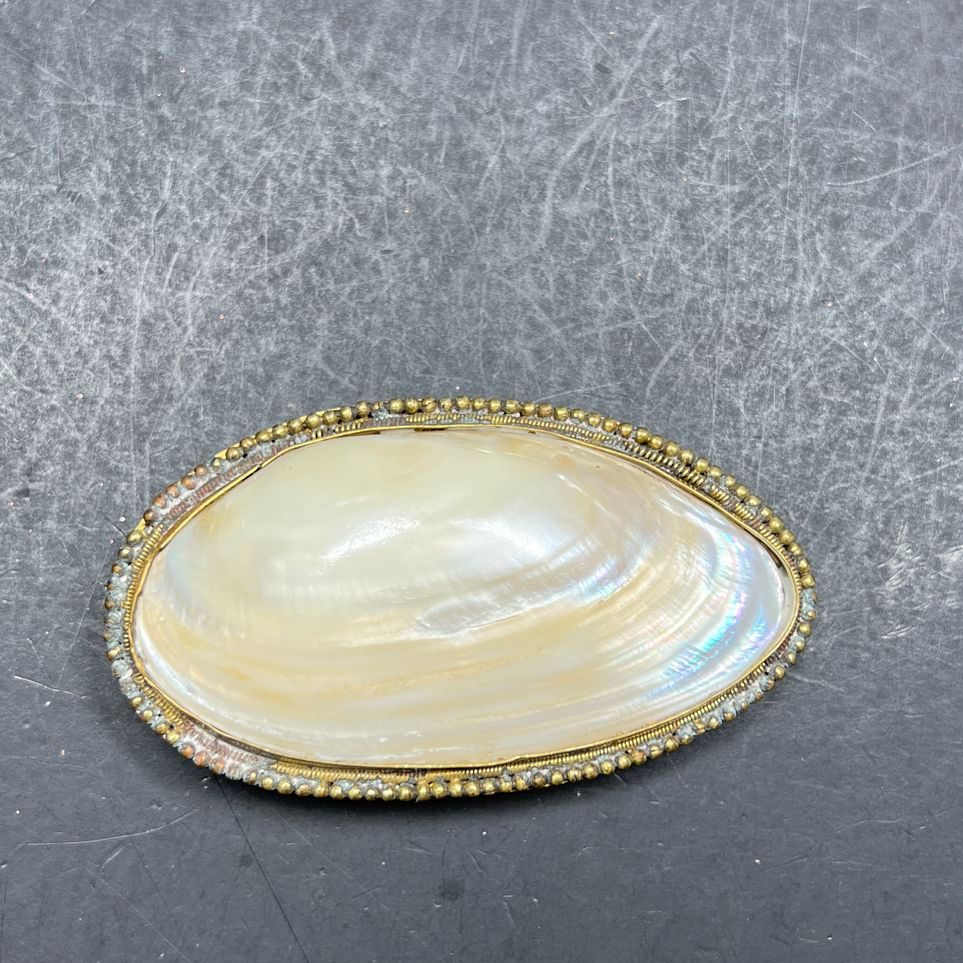 Pier 1 Brass Shell Belt Buckle