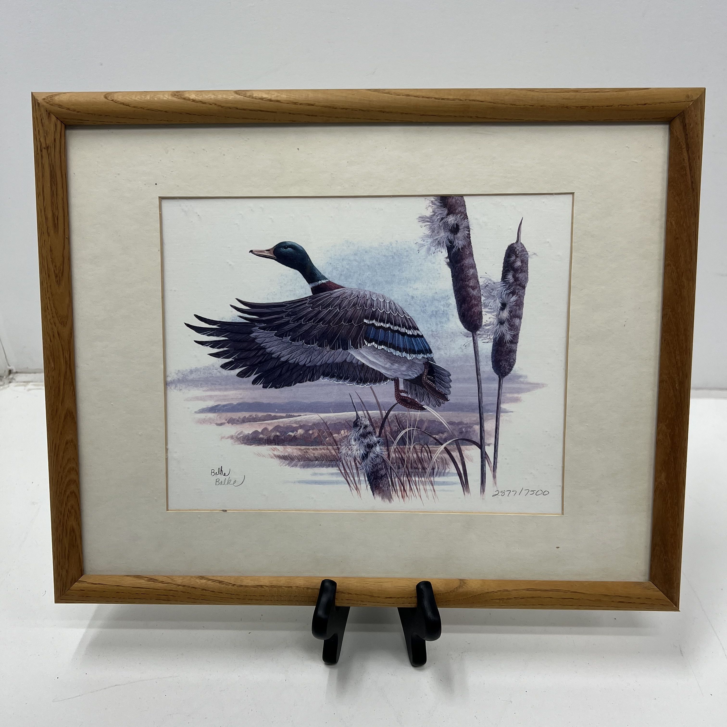 Signed Don Balke Duck Nature Litho Prints Framed Matted Lot of 5 Print Signed