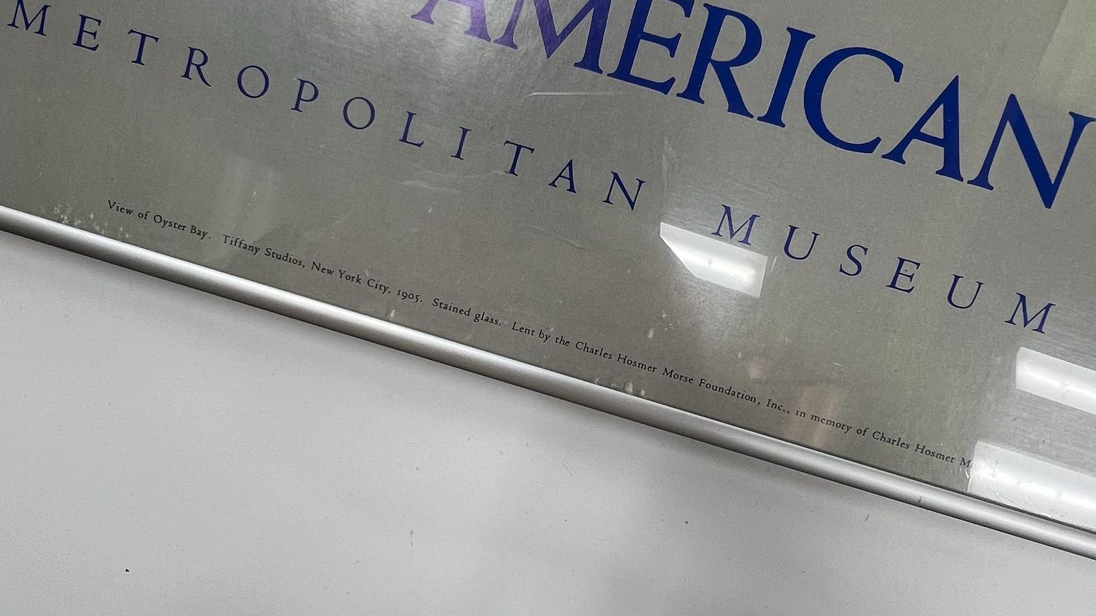 VTG Metropolitan Museum of Art Tiffany Window View of Oyster Bay Wisteria