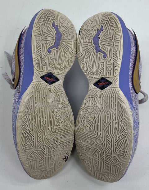 Nike LeBron 20 XX Violet Frost Basketball Shoes Men's Size 8