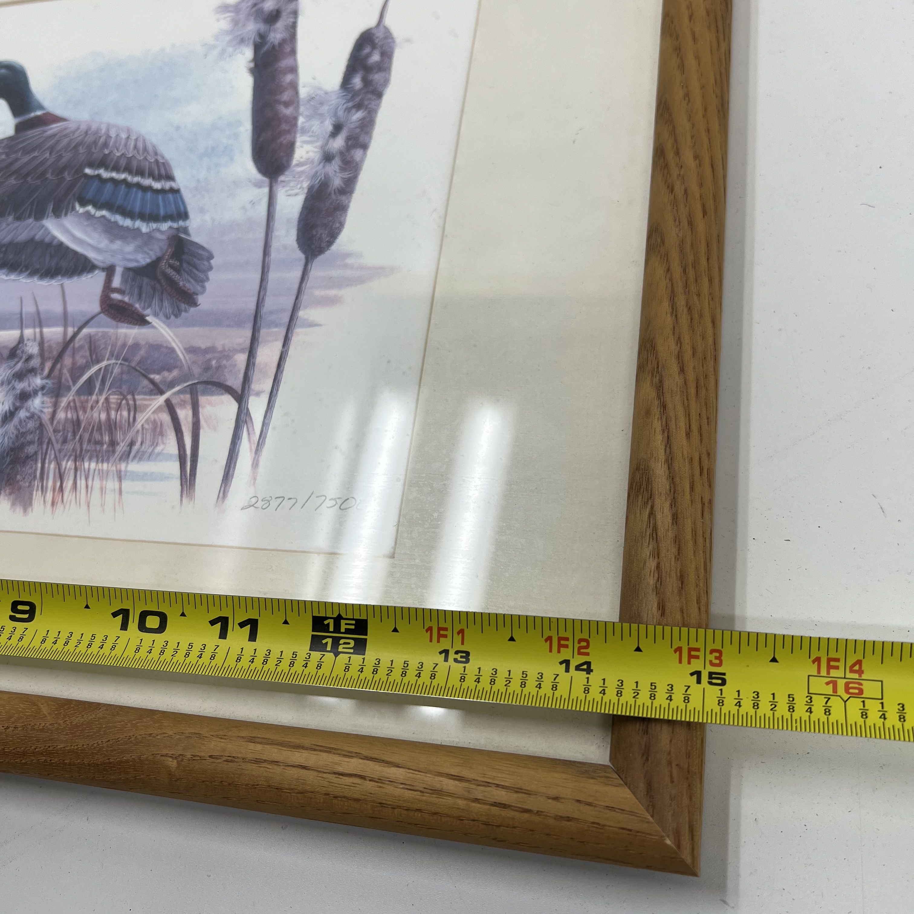 Signed Don Balke Duck Nature Litho Prints Framed Matted Lot of 5 Print Signed