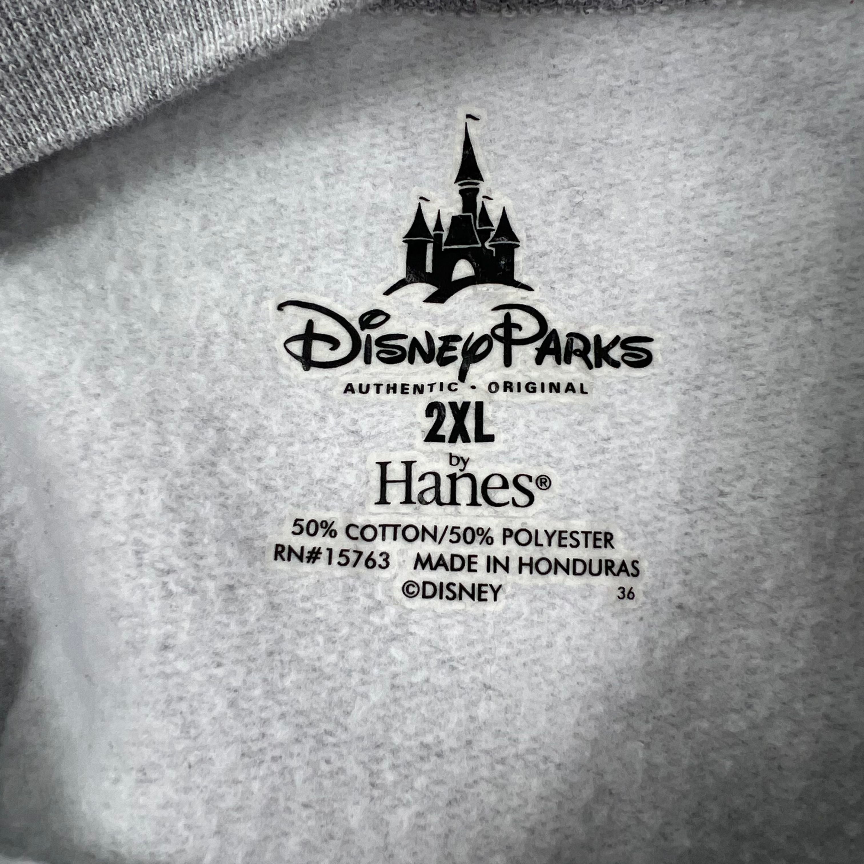 Disney Parks Gray Splash Mountain Graphic Crewneck Sweatshirt Men's 2XL