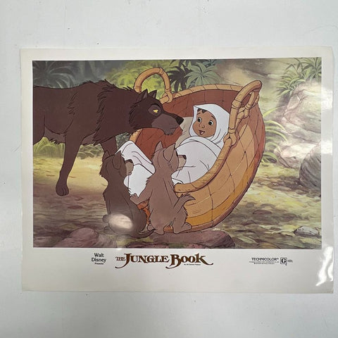Vintage 70s Walt Disney The Jungle Book Lobby Card Movie Promo 11x14 Buena Vista