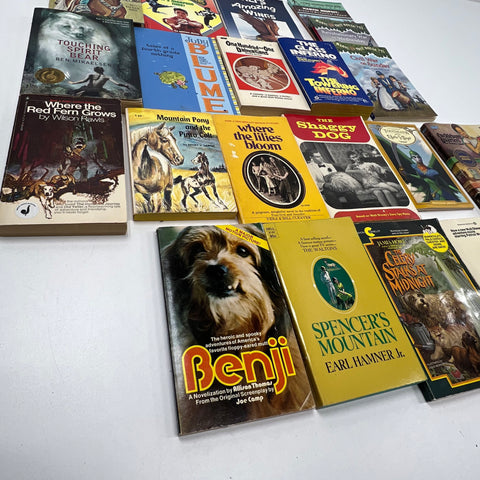Lot Of Vintage Children's YA Books 19 Benji Glass Inferno Magic Tree House Other