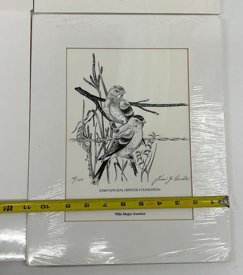 Vintage 80s John H Giebler Iowa Heritage Bird Art Prints Matted Set of 4 NOS