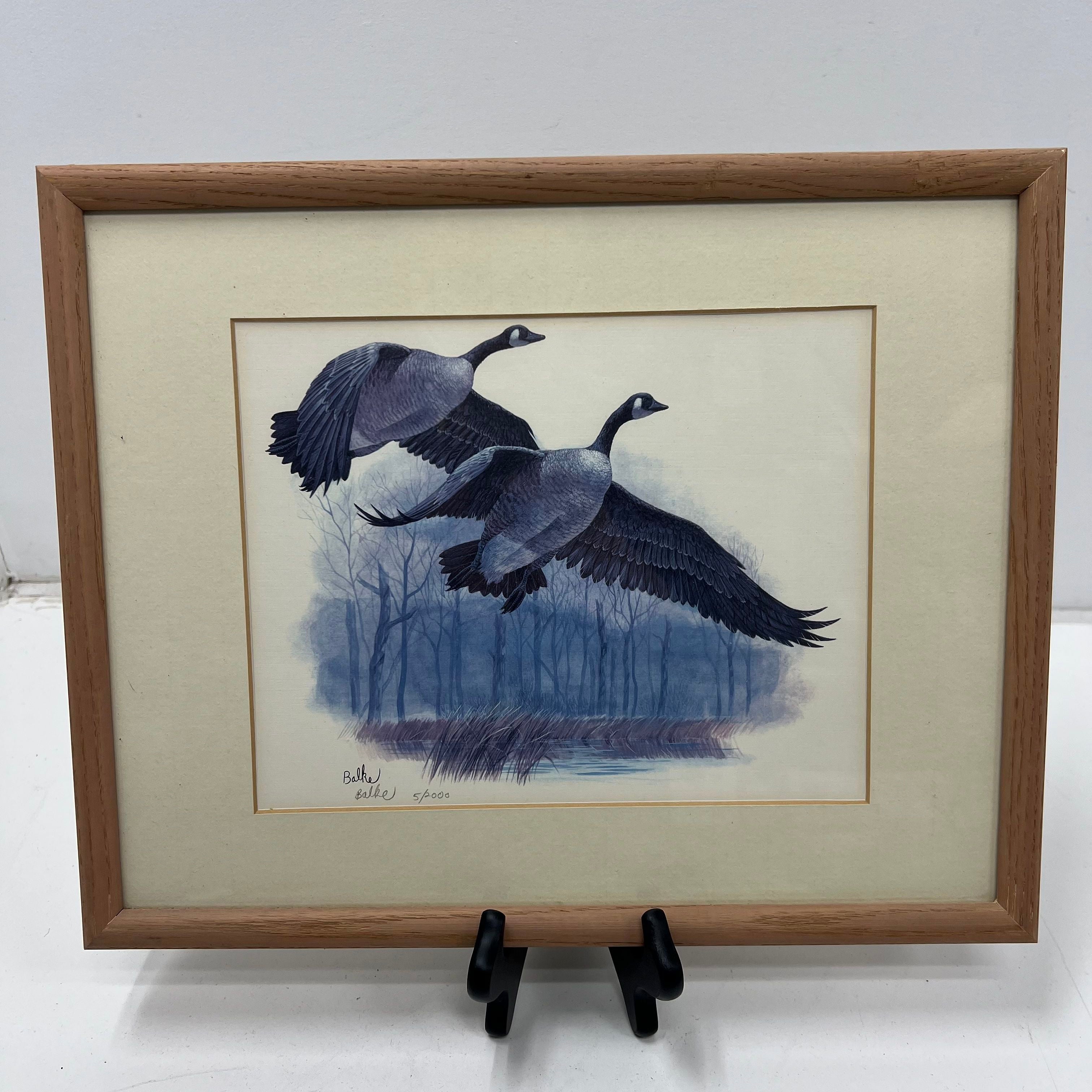 Signed Don Balke Duck Nature Litho Prints Framed Matted Lot of 5 Print Signed