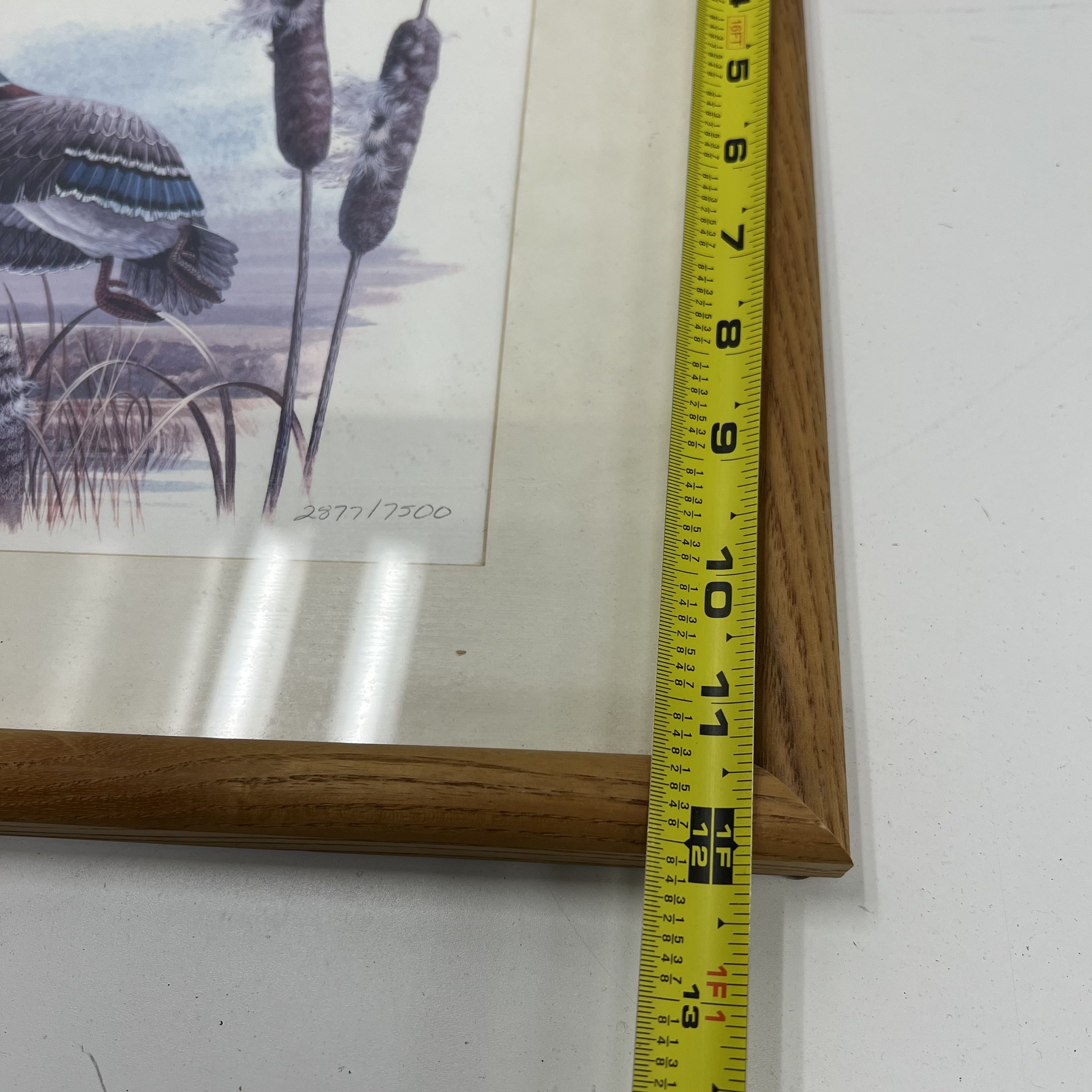 Signed Don Balke Duck Nature Litho Prints Framed Matted Lot of 5 Print Signed
