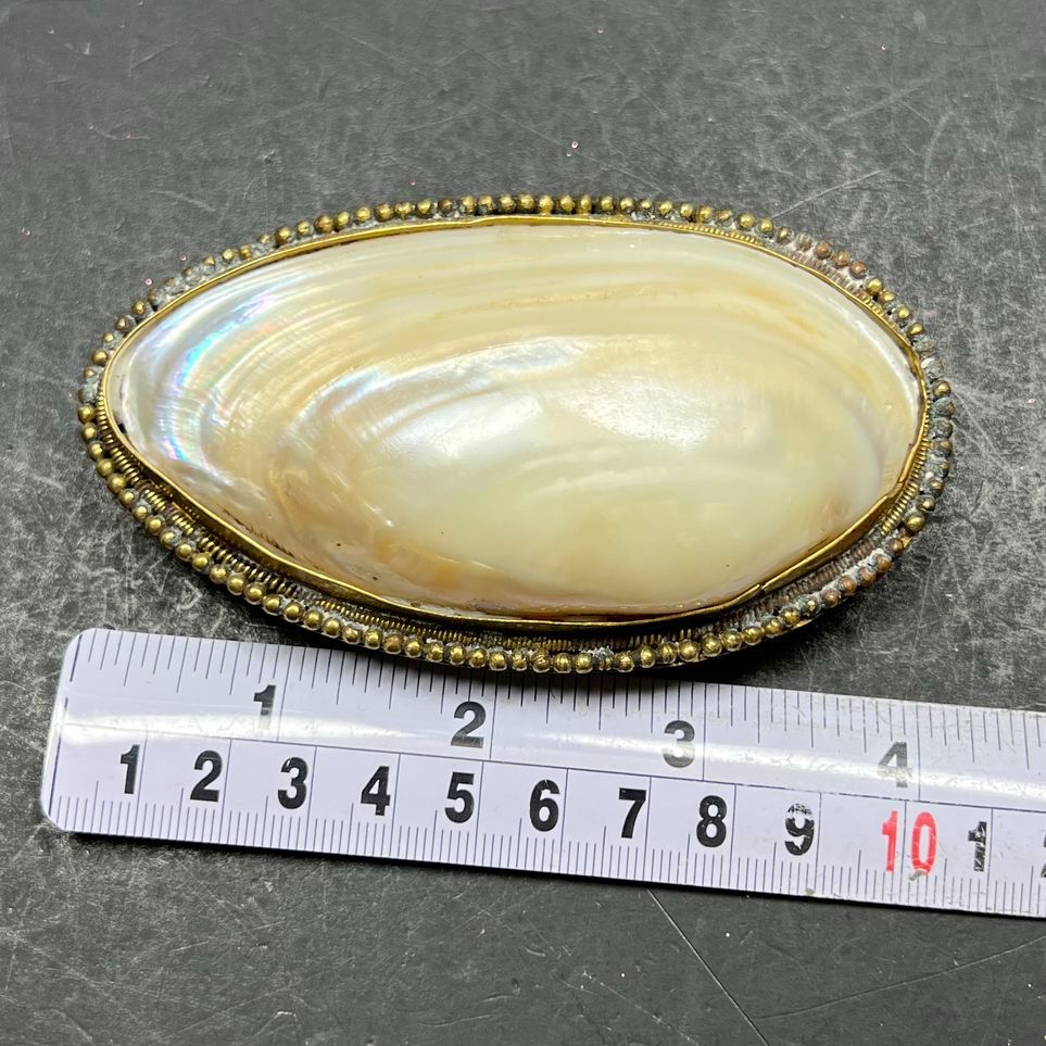 Pier 1 Brass Shell Belt Buckle