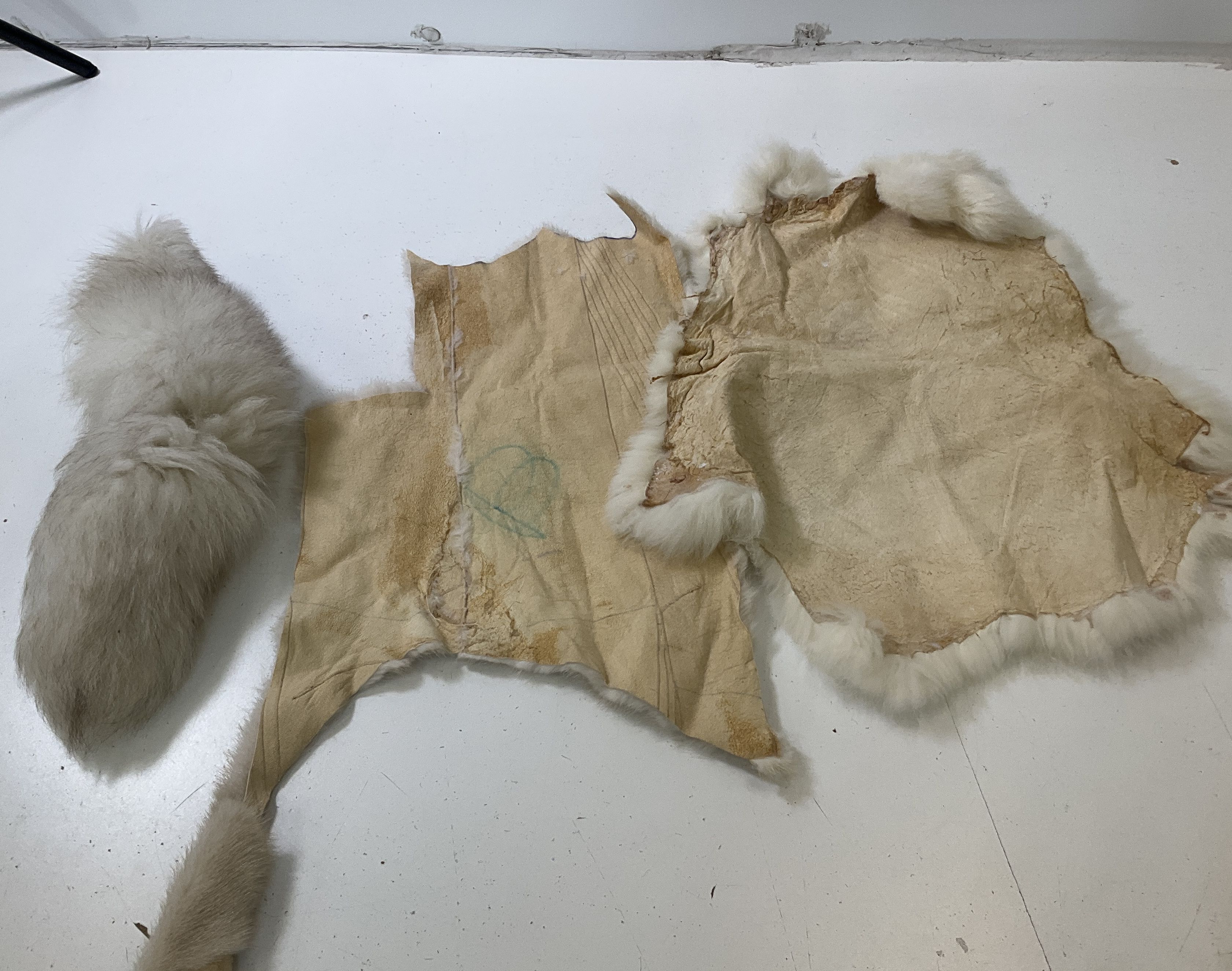 Lot Of Fur Trim Scraps Collars For Craft Upcycle Rabbit Mink Others 13 Pieces