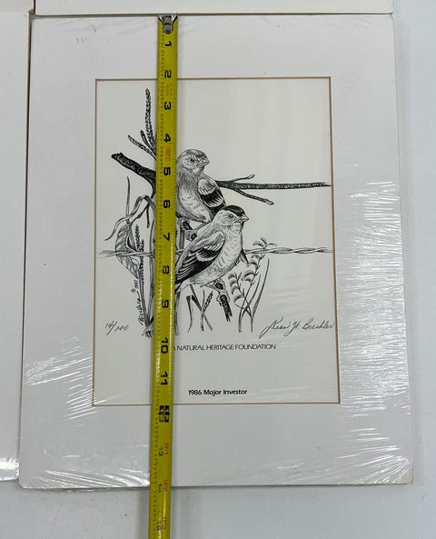 Vintage 80s John H Giebler Iowa Heritage Bird Art Prints Matted Set of 4 NOS