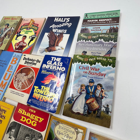 Lot Of Vintage Children's YA Books 19 Benji Glass Inferno Magic Tree House Other