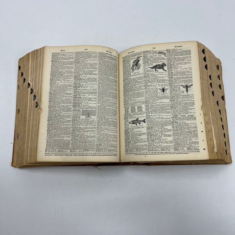 1949 Webster's New International Dictionary Second Edition Unabridged Merriam