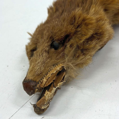 Vintage 50s Real Mink Fur Stole Full Pelt Taxidermy Wrap Scarf with Clip
