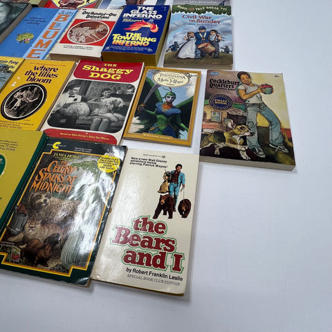 Lot Of Vintage Children's YA Books 19 Benji Glass Inferno Magic Tree House Other