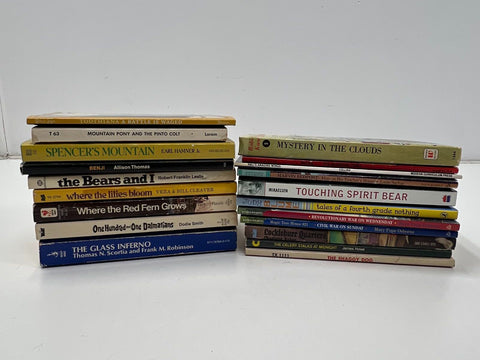 Lot Of Vintage Children's YA Books 19 Benji Glass Inferno Magic Tree House Other