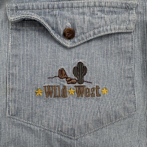 Vintage 1995 Looney Tunes Warner Bros Wild West Striped Western Shirt Sz L