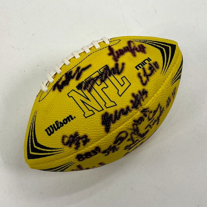 Wilson NFL Mini Football Multi-Signed Autographed Collectible Memorabilia
