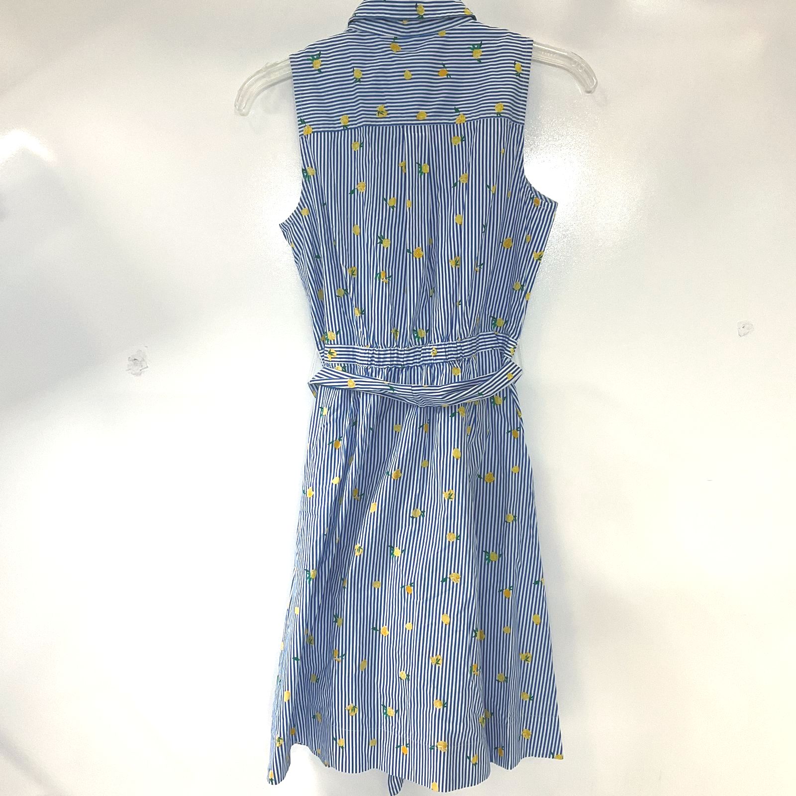 J. Crew Women's Blue & White Striped Lemon Shirt Dress Sleeveless Sz 2P NWT $89