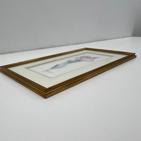 Debbie Copeland Signed Ltd Ed Print 493/1500 Tulip Floral Botanical Art Framed