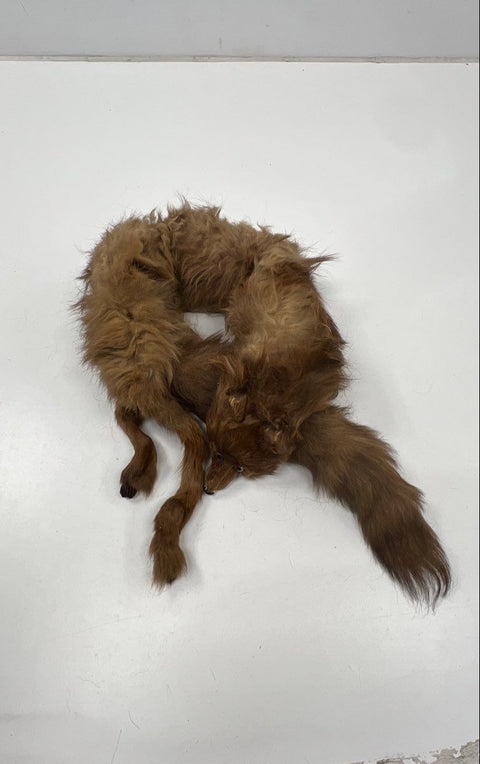 Vintage 40s Stix Baer & Fuller Women's Red Fox Fur Stole Full Body Scarf Brown