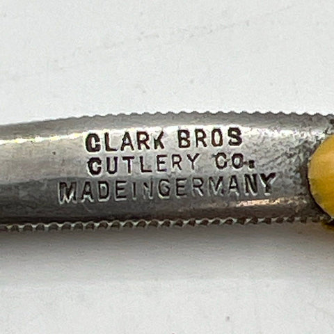 Antique Clark Bros Cutlery Co Straight Razor Perfection Germany Carved Case