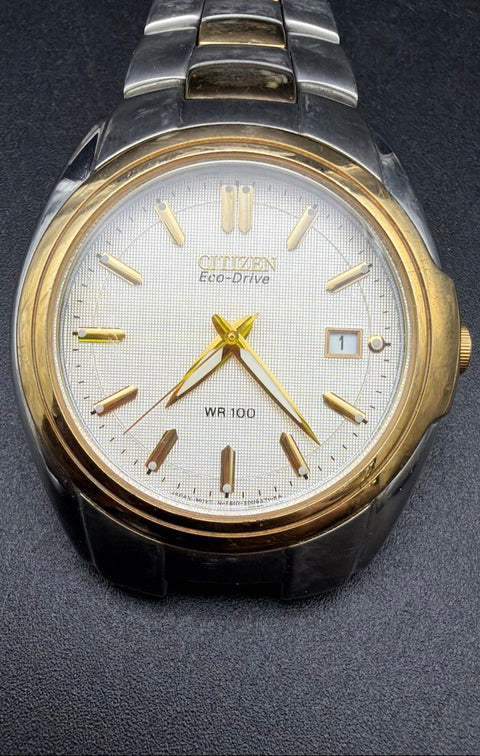 Citizen Eco-Drive WR100 Two-Tone Women's Watch FB10-S005353