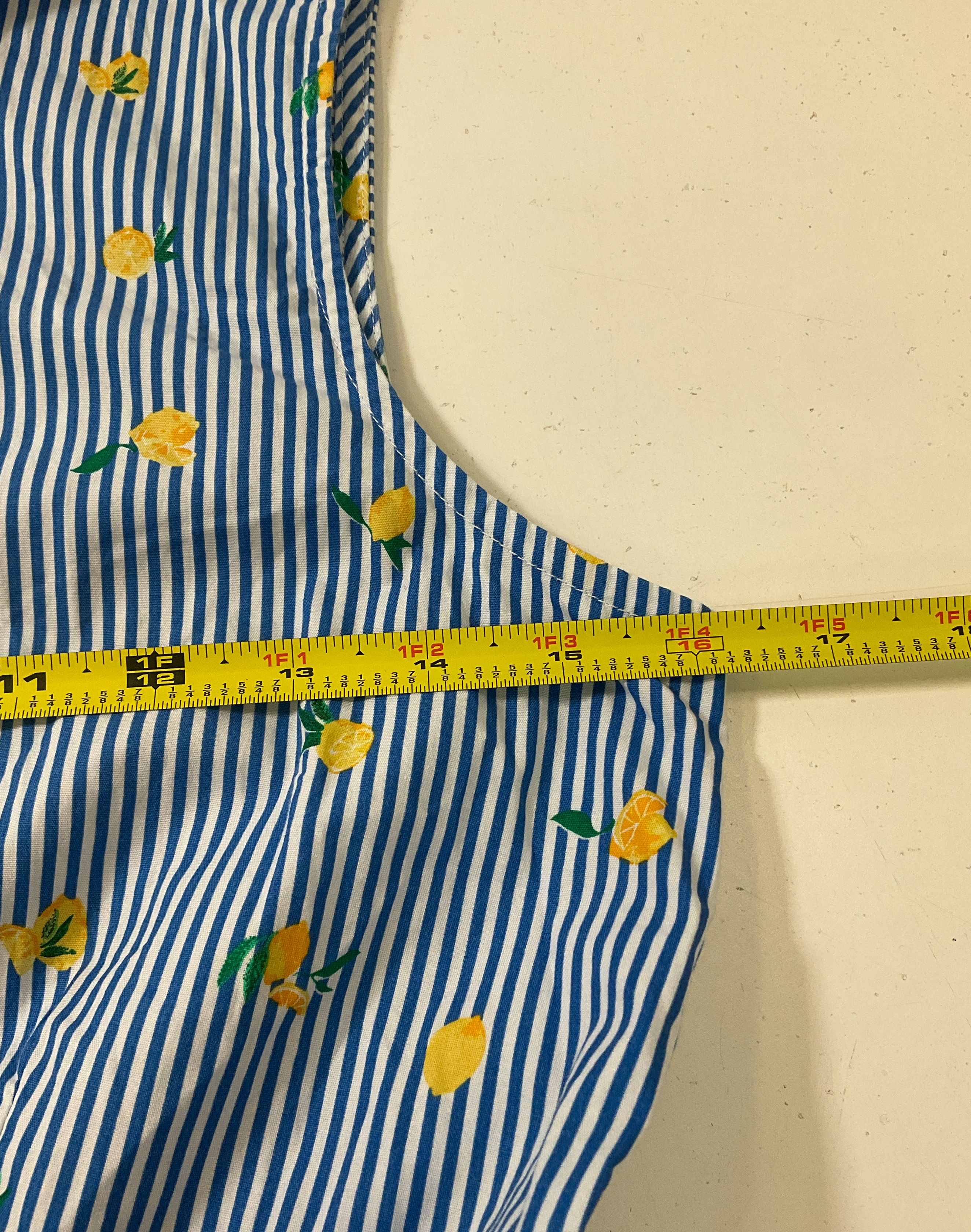 J. Crew Women's Blue & White Striped Lemon Shirt Dress Sleeveless Sz 2P NWT $89