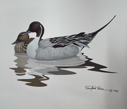 Vintage 1980 Richard Sloan Waterfowl Duck Goose Art Prints Set of 3 Lithograph