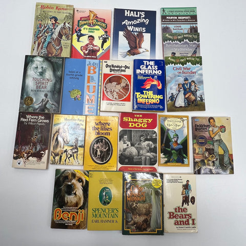 Lot Of Vintage Children's YA Books 19 Benji Glass Inferno Magic Tree House Other