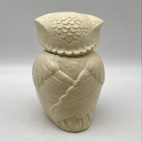 Vintage Owl Cookie Jar Hand-Painted Ceramic Kitchen Canister 10 Inch