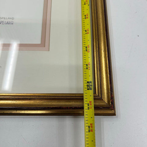 Debbie Copeland Signed Ltd Ed Print 493/1500 Tulip Floral Botanical Art Framed