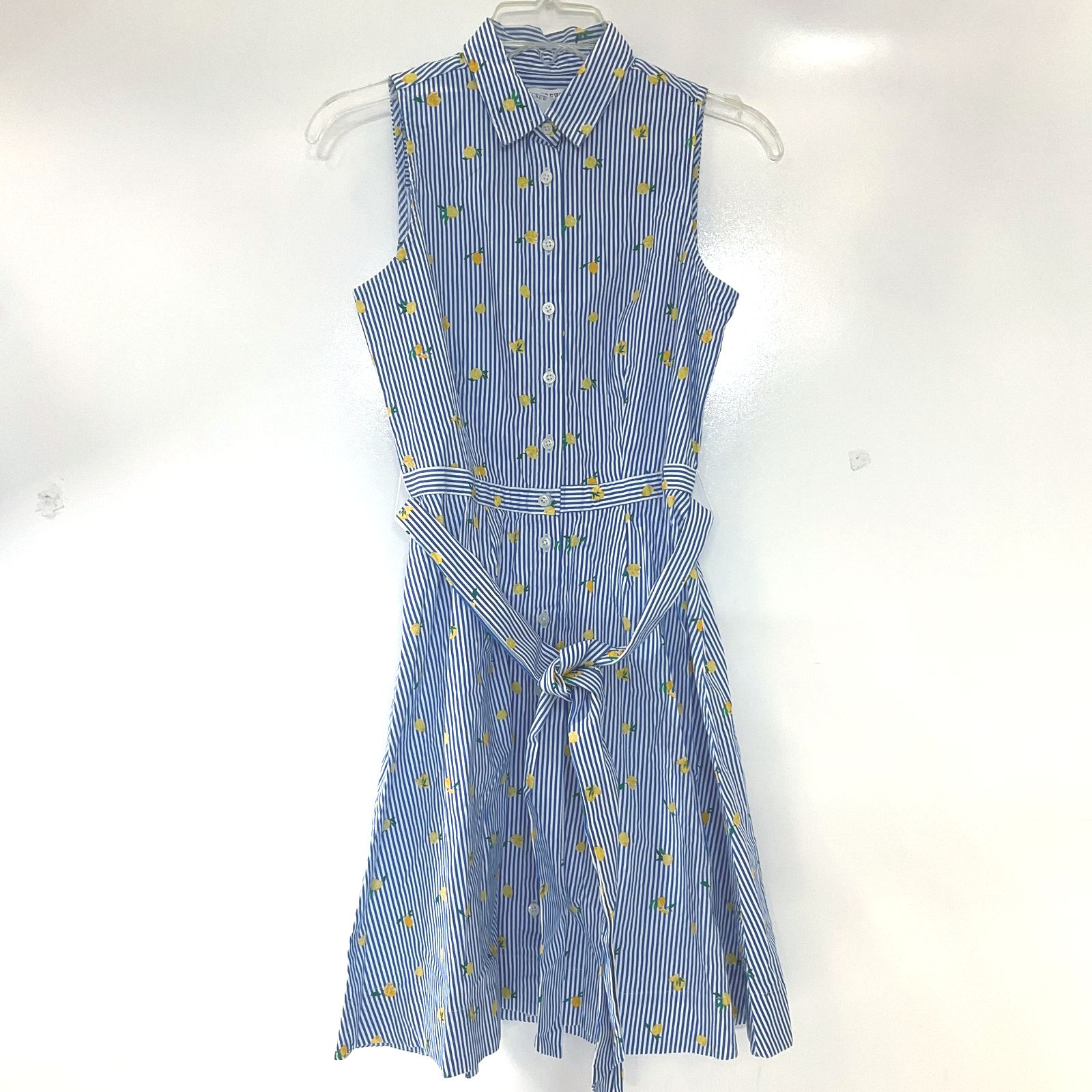 J. Crew Women's Blue & White Striped Lemon Shirt Dress Sleeveless Sz 2P NWT $89
