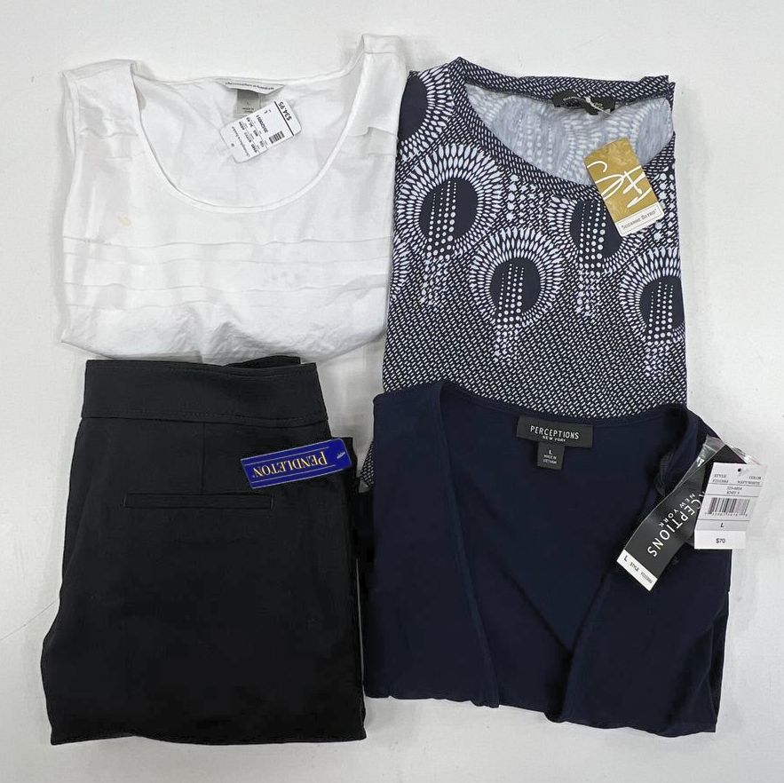 Womens Clothing Lot 4 NWT Pendleton Suzanne Betro Pants Dress Top Sz L 12P