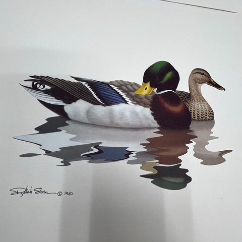 Vintage 1980 Richard Sloan Waterfowl Duck Goose Art Prints Set of 3 Lithograph