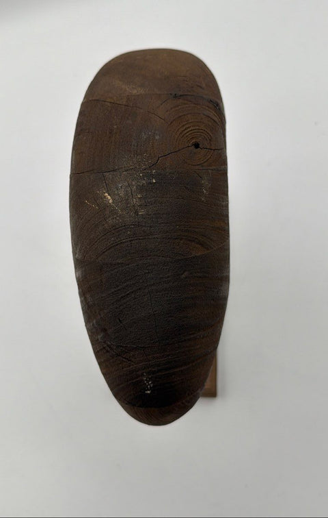 Unsigned Modernist Monkey Pod Wood Nautilus Spiral Sculpture 15.5" Original