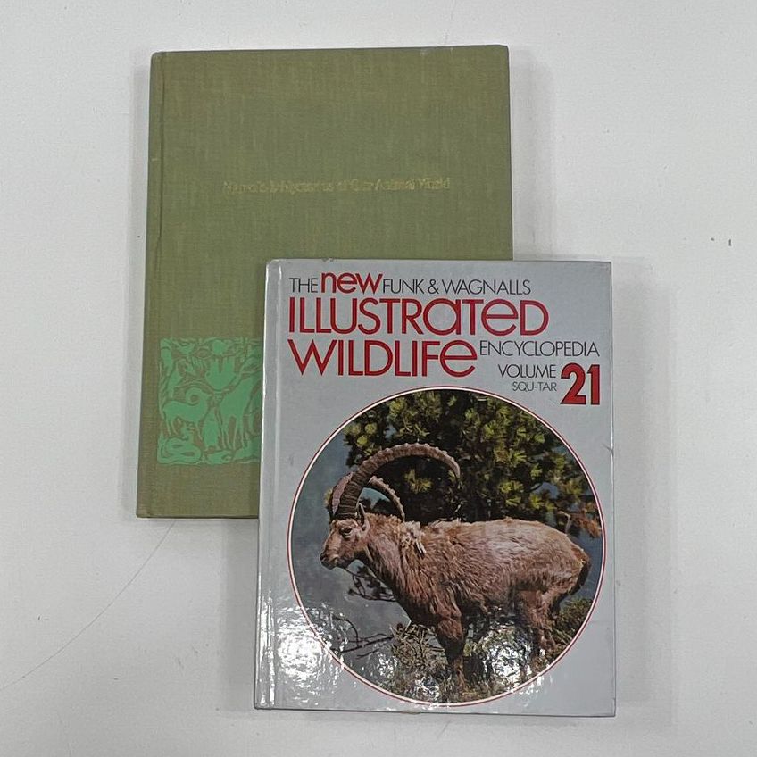 Vintage Assorted Hard Cover Nature & Animal Themed Books Lot Of 2 c1980 & c1964