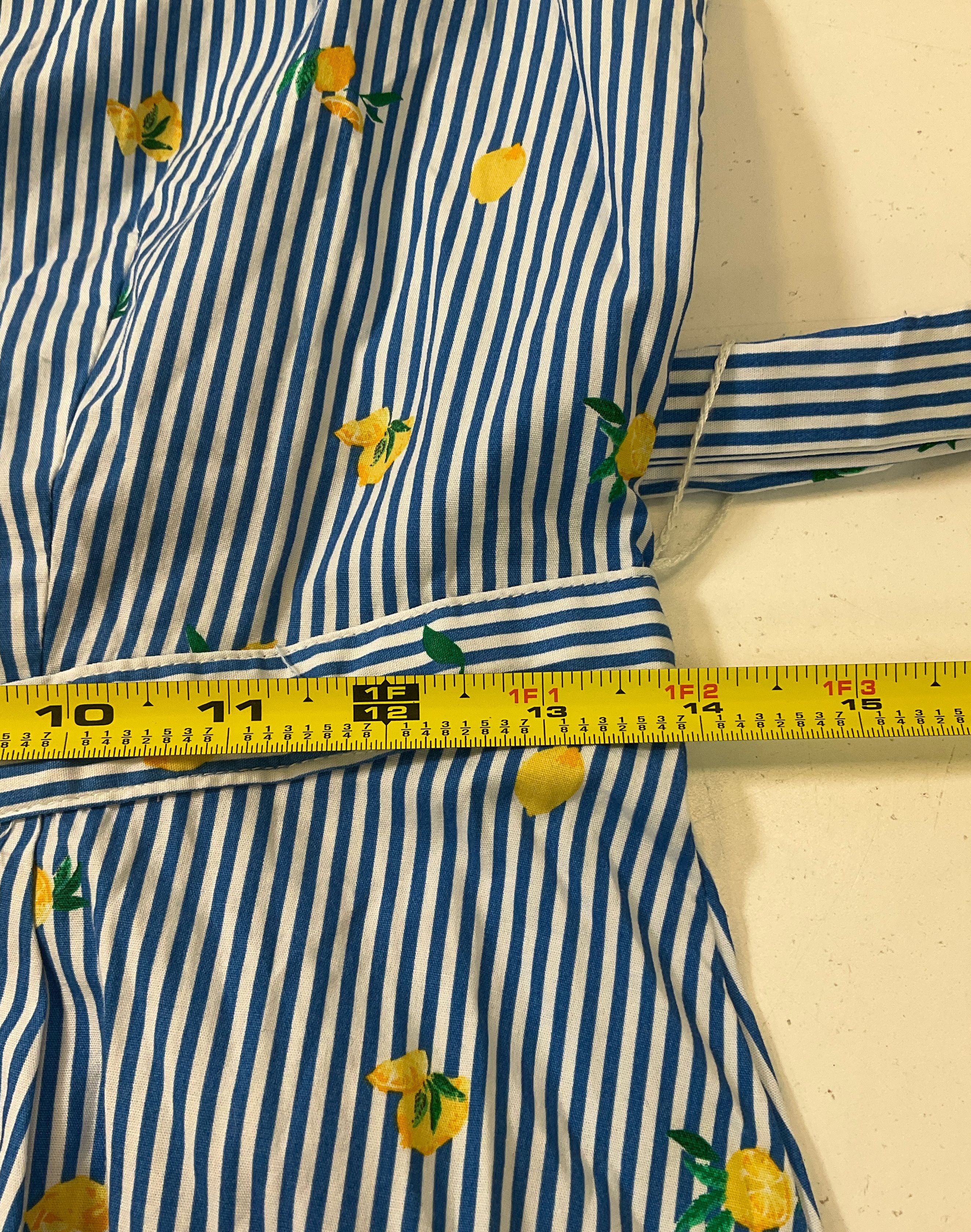 J. Crew Women's Blue & White Striped Lemon Shirt Dress Sleeveless Sz 2P NWT $89