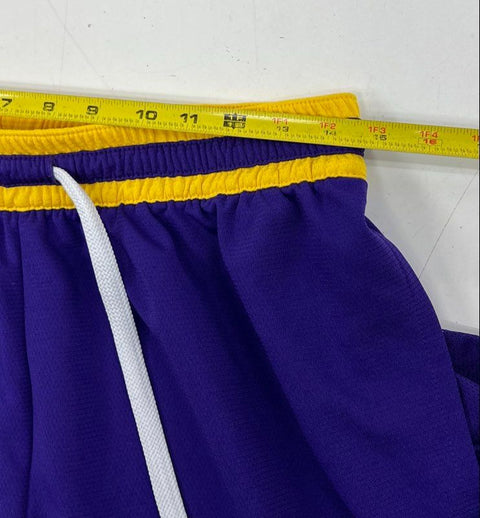 Nike Men's Purple NBA Los Angeles Lakers 75th Anniversary Dri-FIT Shorts Size L