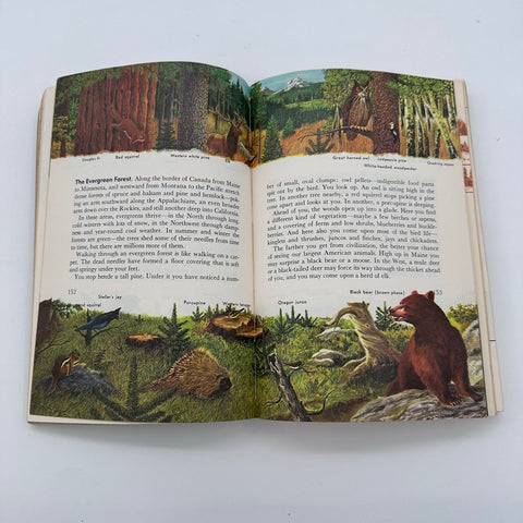 Vintage Boy Scouts of America Handbooks Lot 2 BSA Handbook for Boys Rockwell