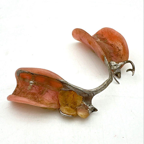 Vintage Partial Denture Mandibular Bridge Dental Oddity Medical Display Only