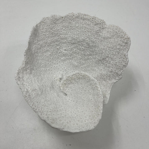 Large White Faux Coral Decorative Bowl Sculpture Coastal Nautical Centerpiece
