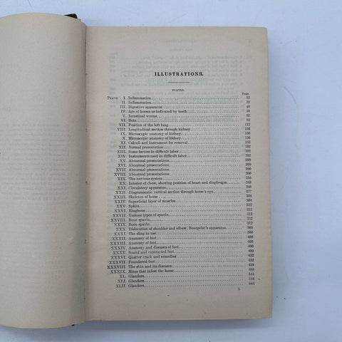 Antique 1923 Diseases of the Horse Book USDA Revised Edition Lloyd Thurston