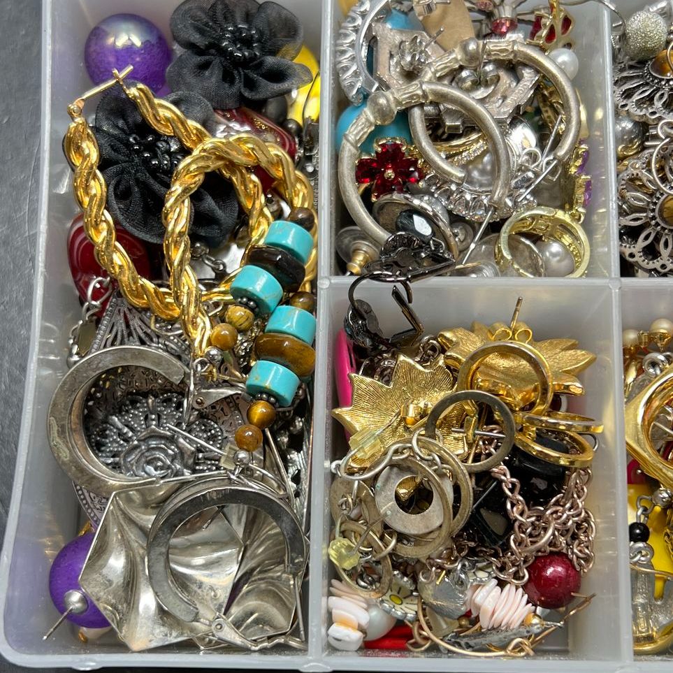 Case of Assorted Styles Earrings for Pierced Ears