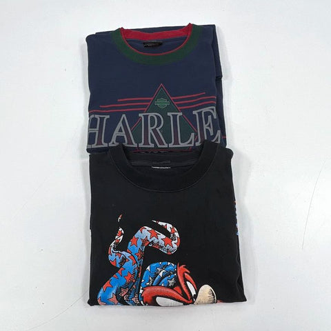 Vintage 90s Harley Davidson T-Shirt Lot Taz 1994 & Winnipeg Double Stitch Sz L