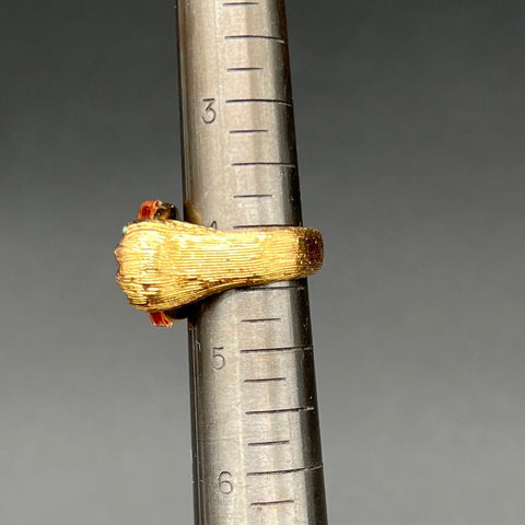 Kate Spade Gold Tone House Cat Double Paw Cocktail Ring Amber Crystal Size 4