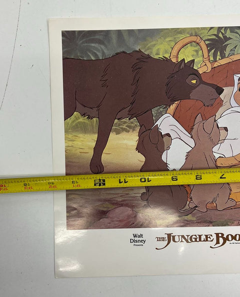 Vintage 70s Walt Disney The Jungle Book Lobby Card Movie Promo 11x14 Buena Vista